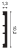 SX163_skirting--image_cross_section.png